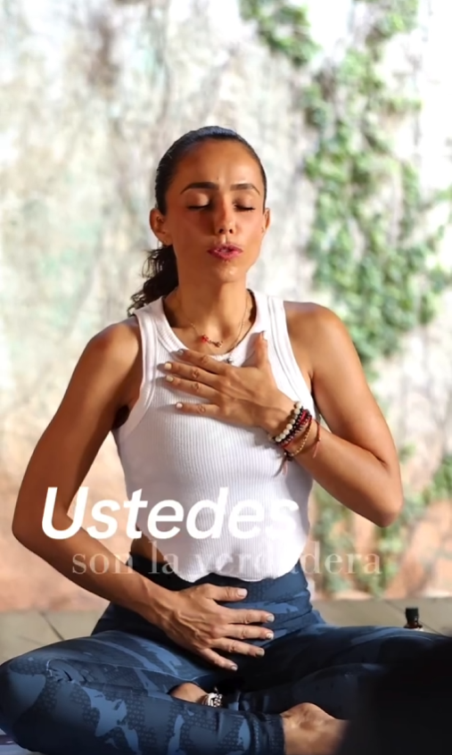 Captura de pantalla 2025-11-27 010016