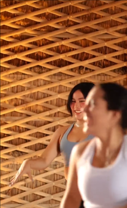 Captura de pantalla 2025-11-27 010050